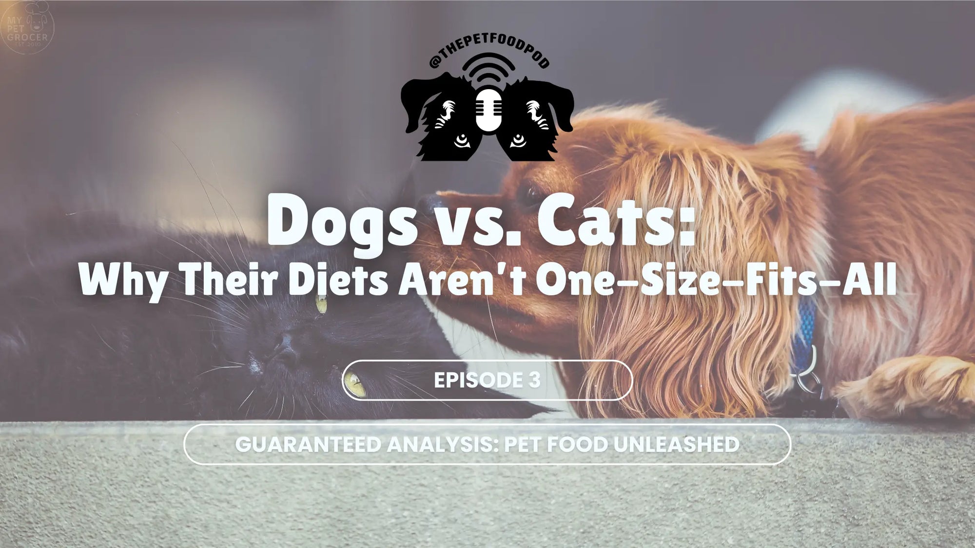 Dogs-vs.-Cats-Why-Their-Diets-Aren-t-One-Size-Fits-All mypetgrocer.com
