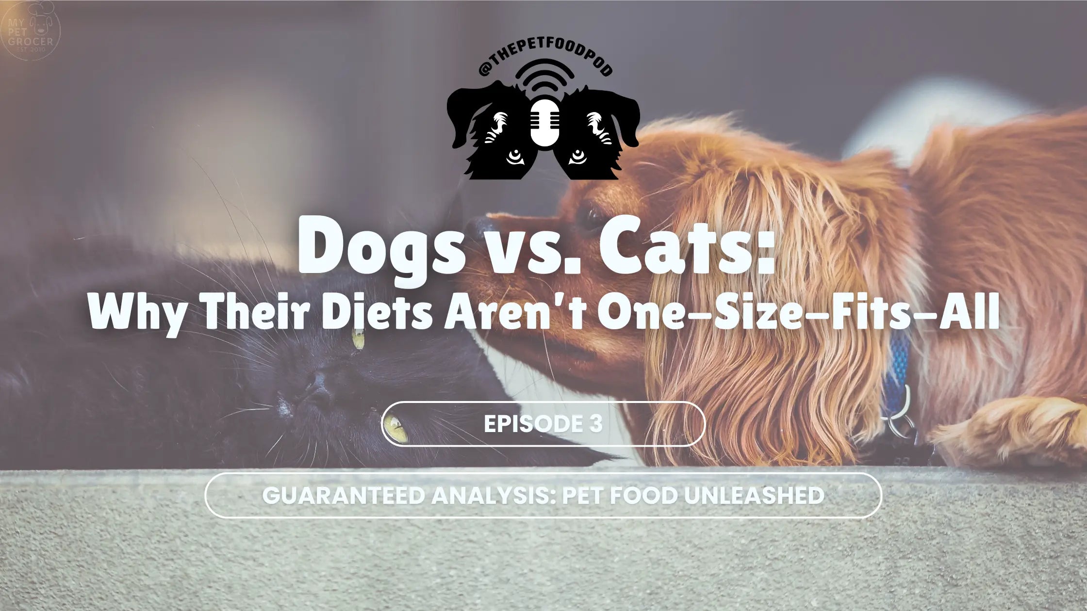 Dogs-vs.-Cats-Why-Their-Diets-Aren-t-One-Size-Fits-All mypetgrocer.com