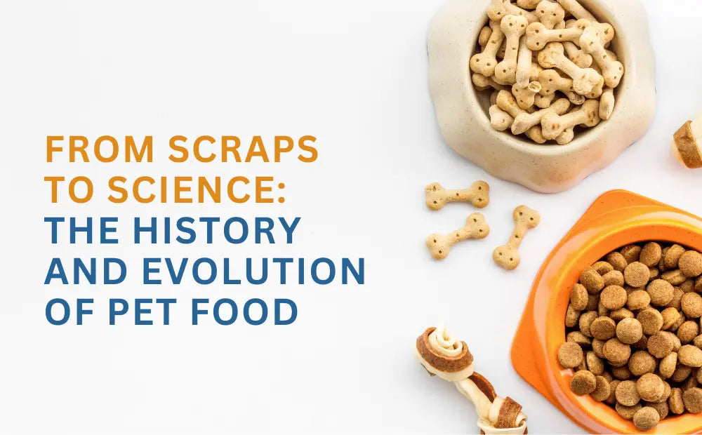 From-Scraps-to-Science-The-History-and-Evolution-of-Pet-Food mypetgrocer.com