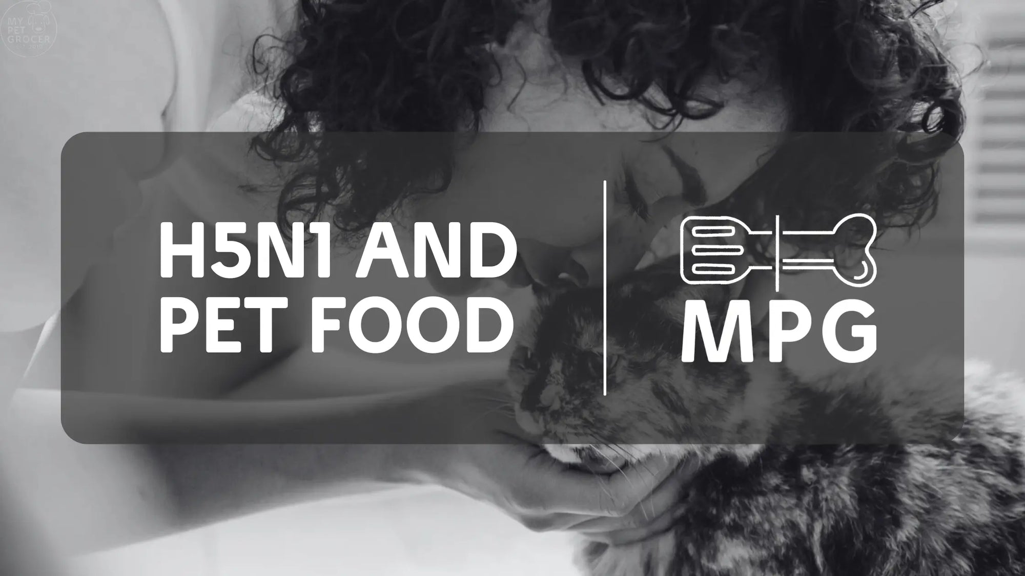 H5N1-and-Pet-Food-What-Pet-Owners-Should-Know mypetgrocer.com