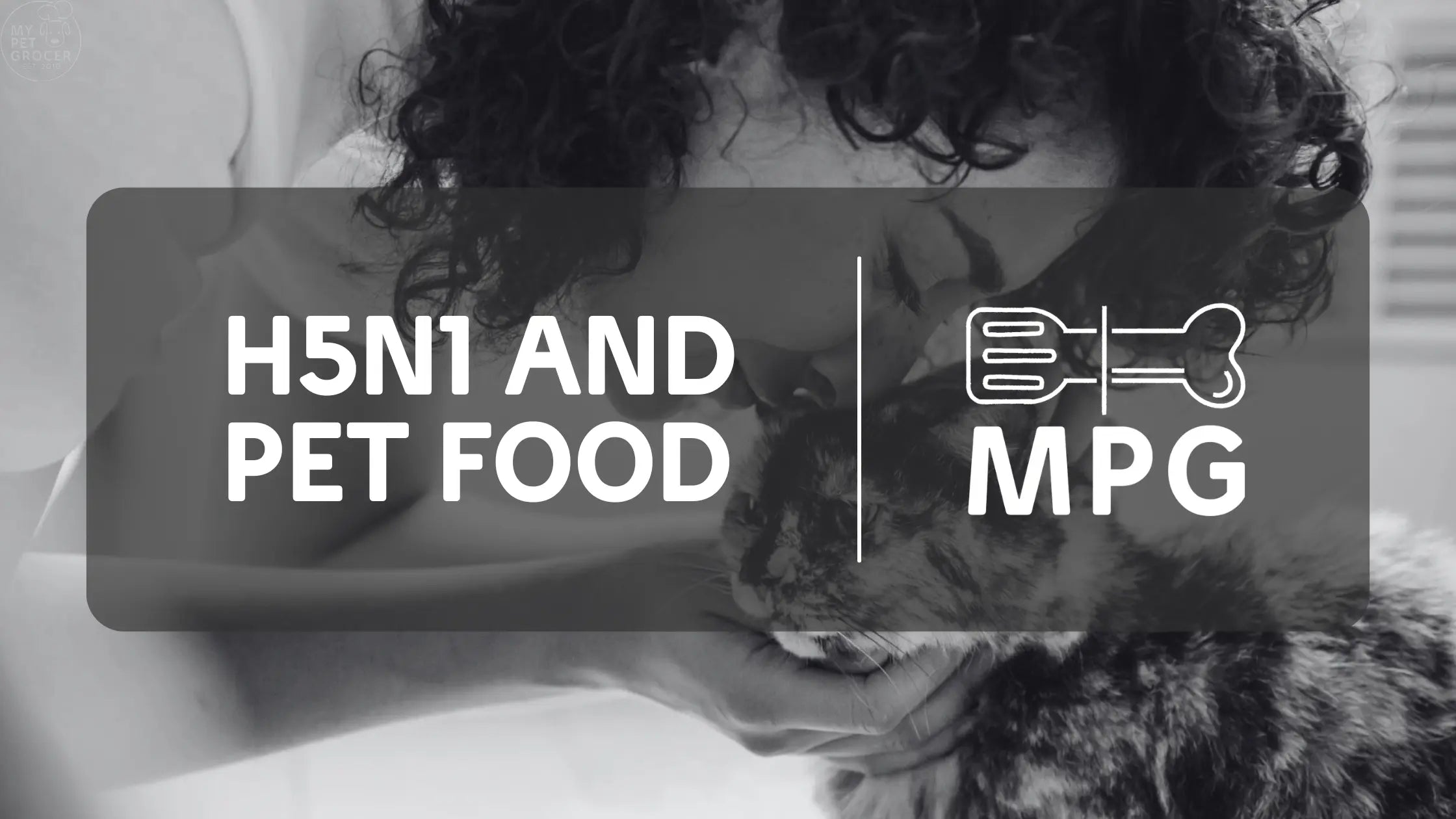 H5N1-and-Pet-Food-What-Pet-Owners-Should-Know mypetgrocer.com