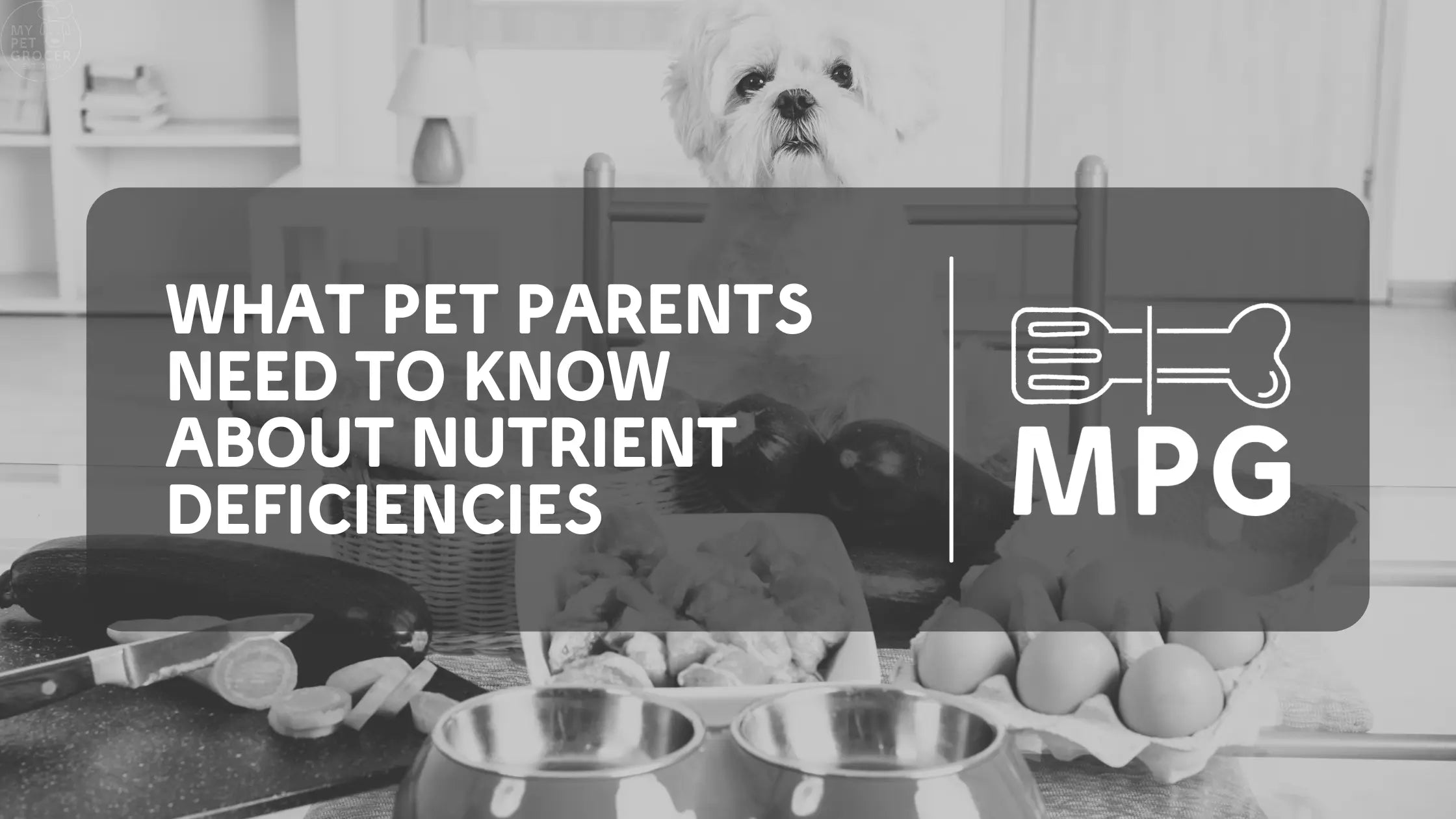 Homemade-Dog-Food-What-Pet-Parents-Need-to-Know-About-Nutrient-Deficiencies mypetgrocer.com
