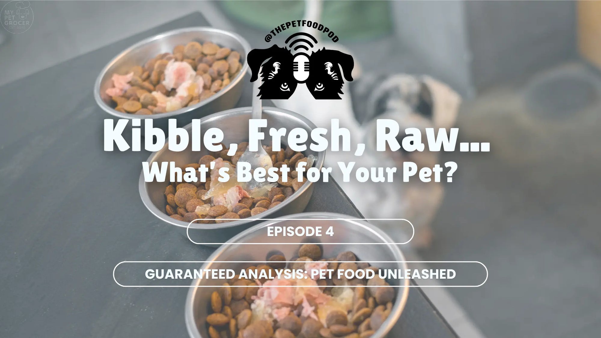 Kibble-Fresh-Raw-What-s-Best-for-Your-Pet mypetgrocer.com