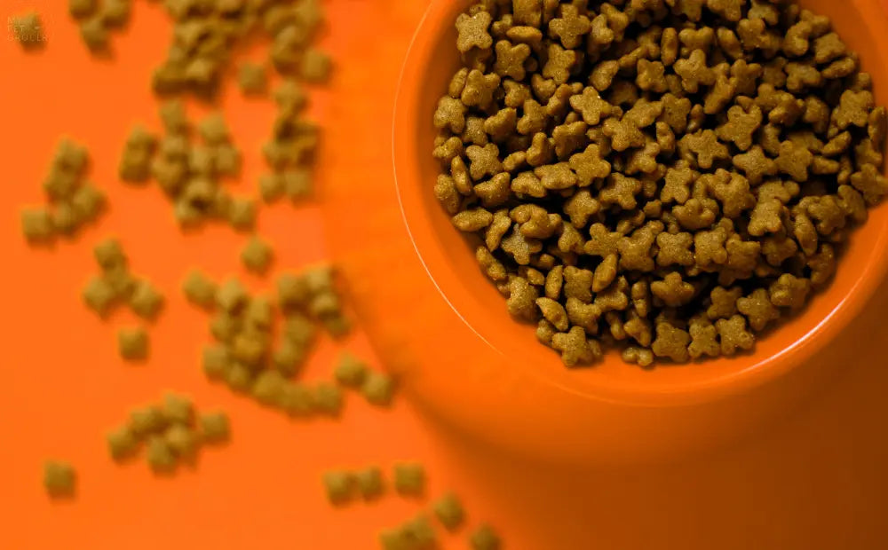 Natural-Organic-Human-Grade-Pet-Food-What-These-Labels-Really-Mean mypetgrocer.com