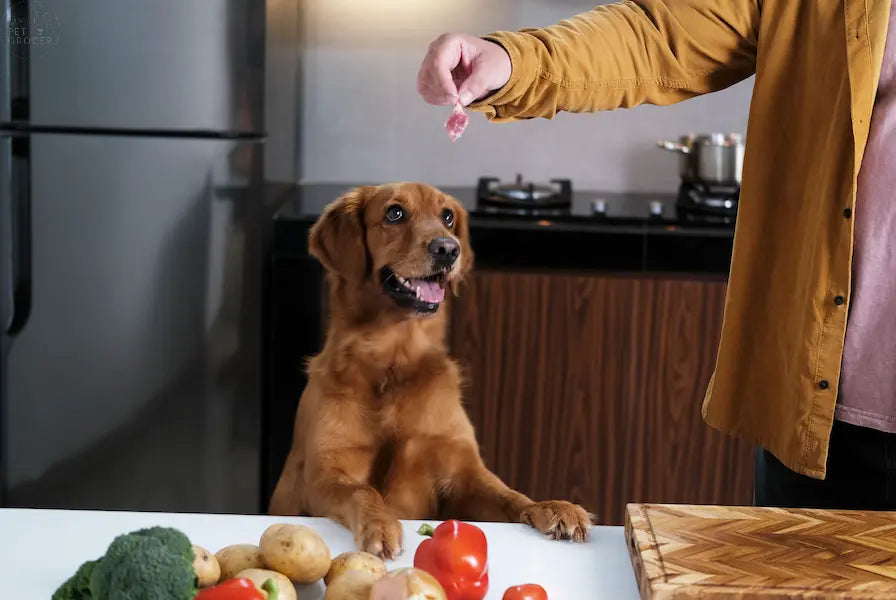 Rabbit-Pumpkin-Diet-for-Dog-Allergies-IBD mypetgrocer.com