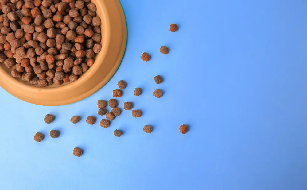 Storing-Pet-Food-Properly-to-Maintain-Quality-and-Appeal mypetgrocer.com