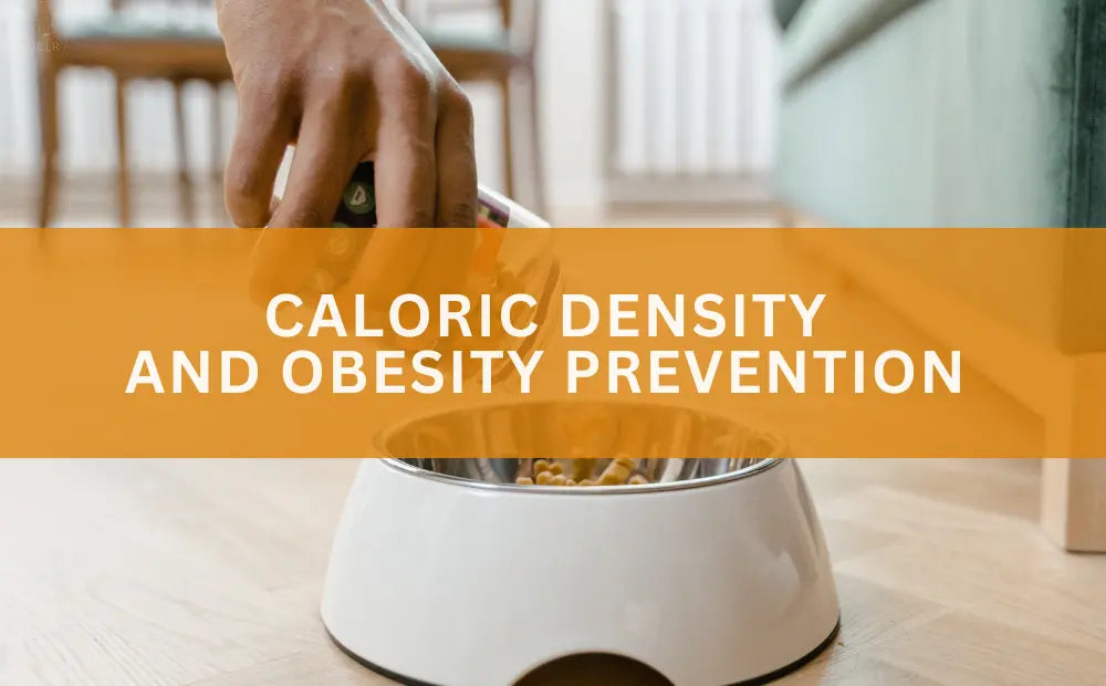 What-Pet-Food-Labels-Don-t-Tell-You-About-Weight-Gain mypetgrocer.com