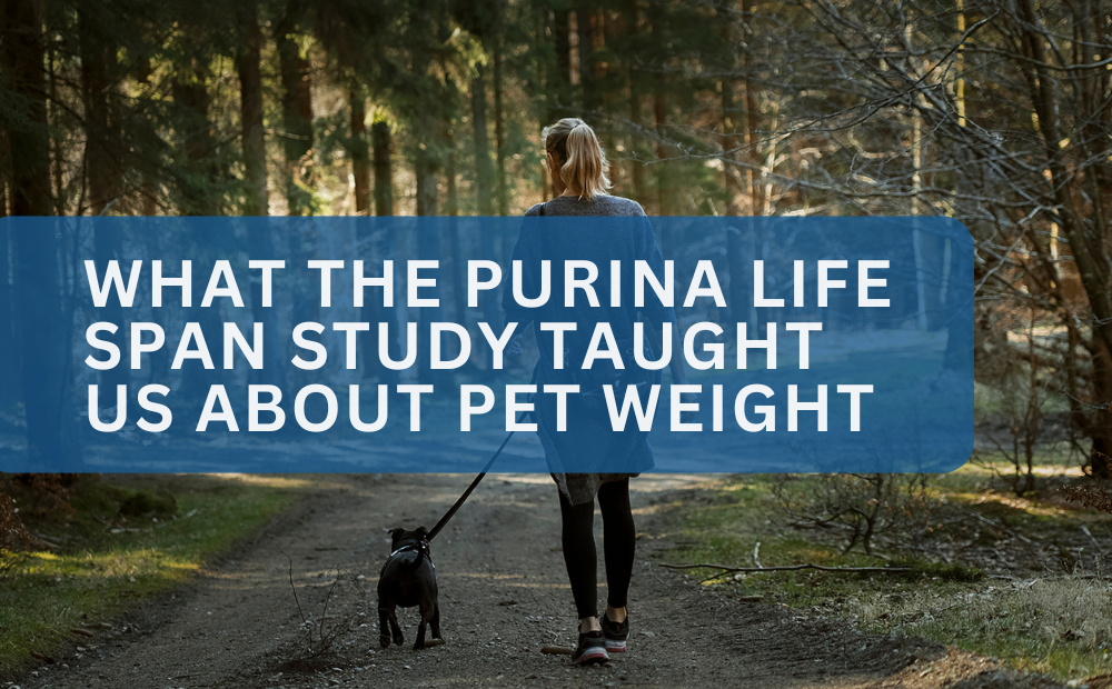 What the Purina Life Span Study Taught Us About Pet Weight