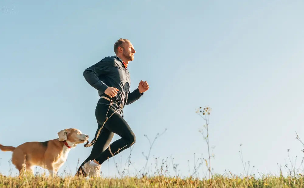 An-Introduction-to-Healthy-Weight-Loss-for-Pets mypetgrocer.com