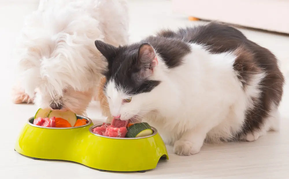 Are-Added-Vitamins-Really-Necessary-for-Your-Pet-s-Homemade-Meals mypetgrocer.com