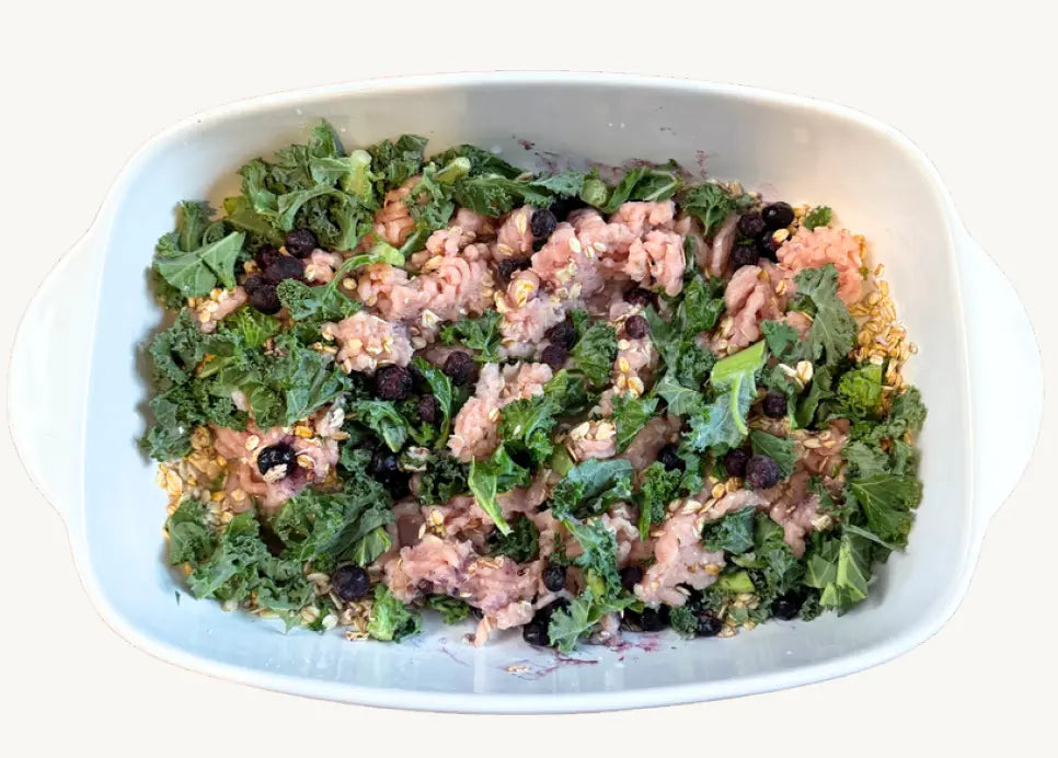 Billy-s-Baked-Chicken-Kale-and-Blueberry-Casserole mypetgrocer.com