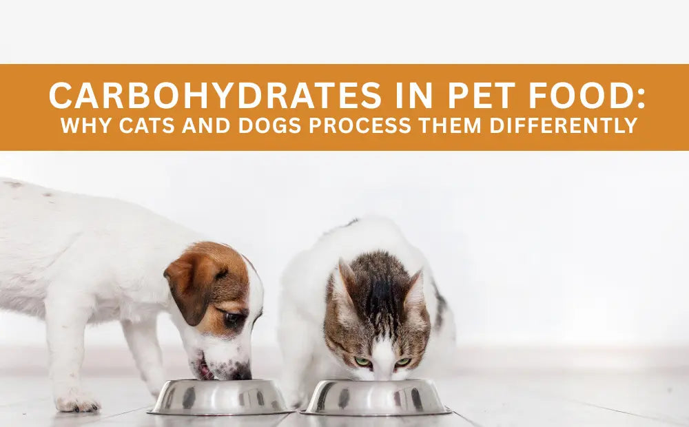 Carbohydrates-in-Pet-Food-Why-Cats-and-Dogs-Process-Them-Differently mypetgrocer.com