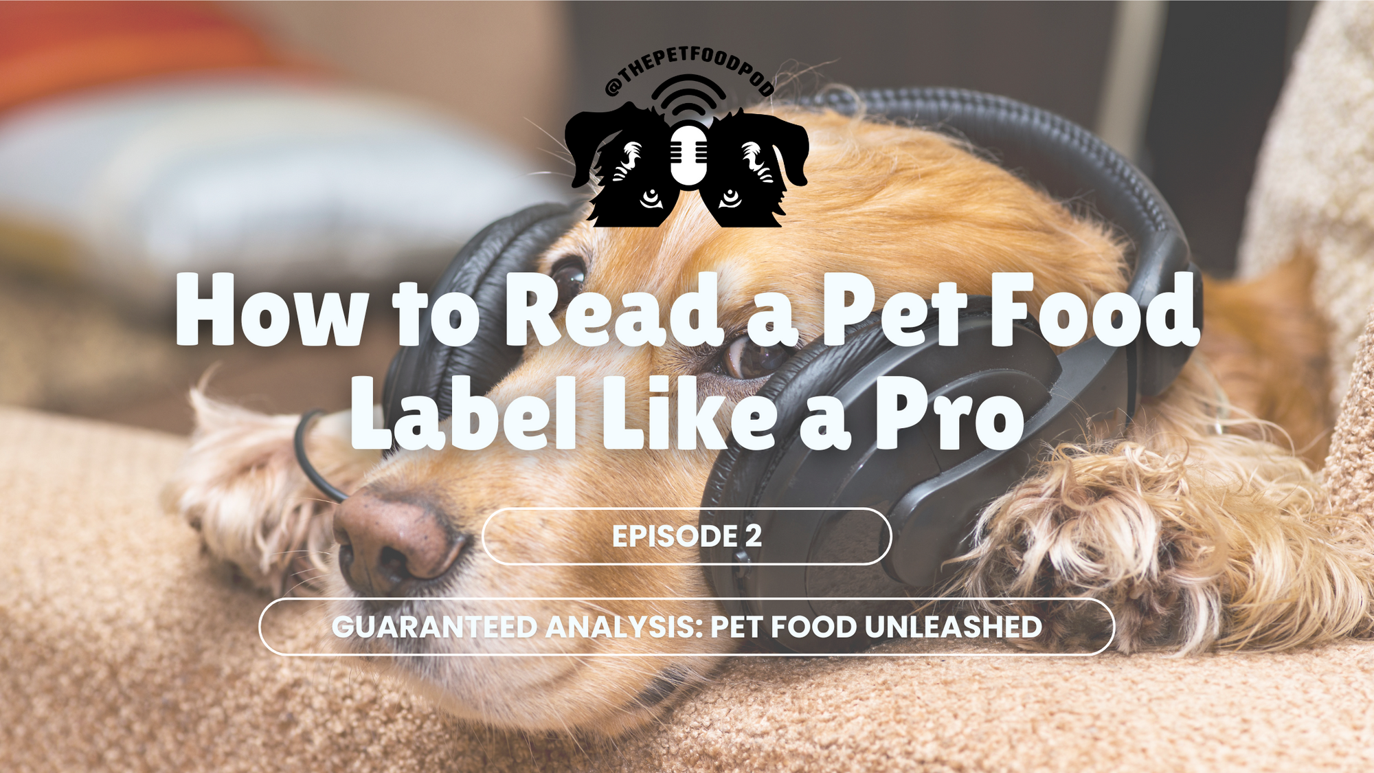 How to Read a Pet Food Label: What Really Matters?