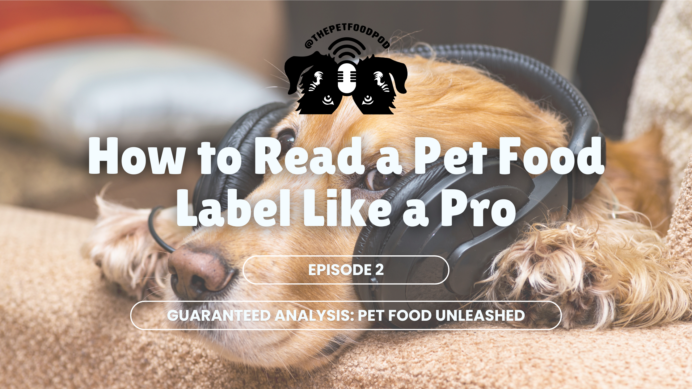 How to Read a Pet Food Label: What Really Matters?