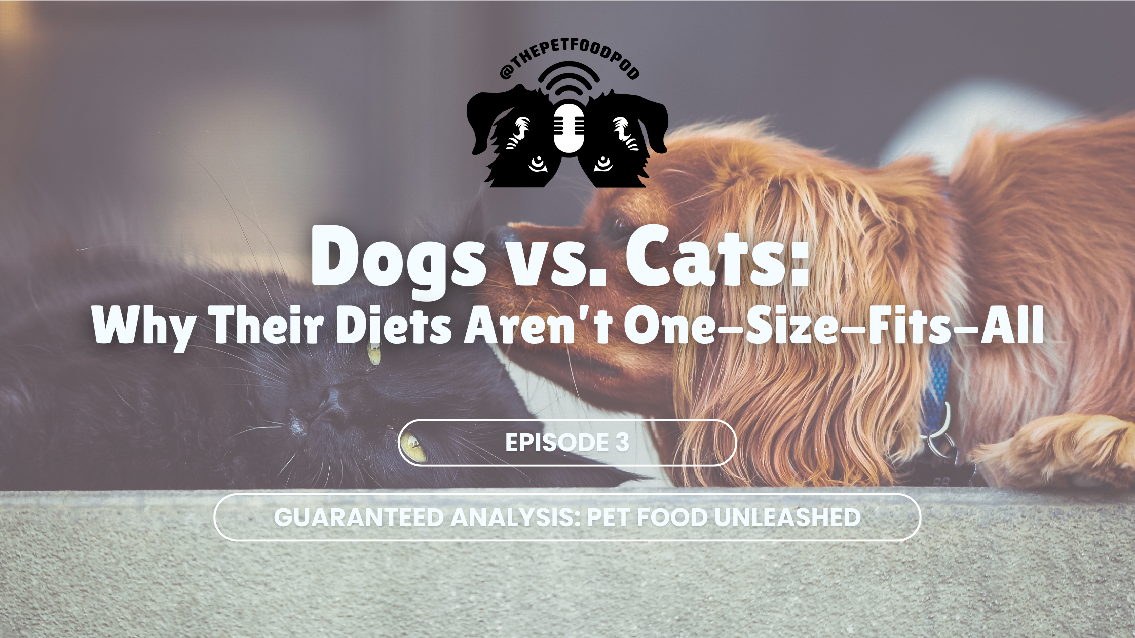 Dogs vs. Cats: Why Their Diets Aren’t One-Size-Fits-All