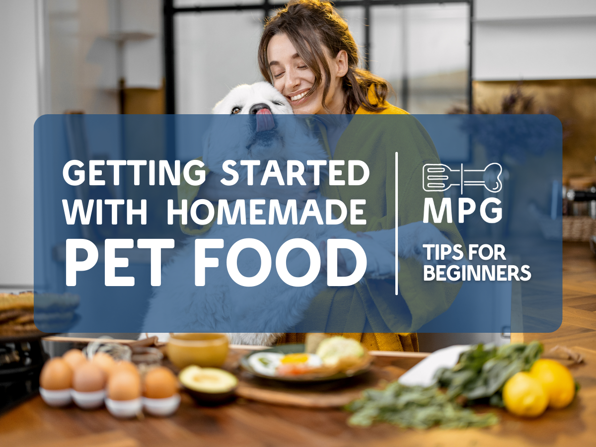 Getting Started with Homemade Pet Food: Tips for Beginners