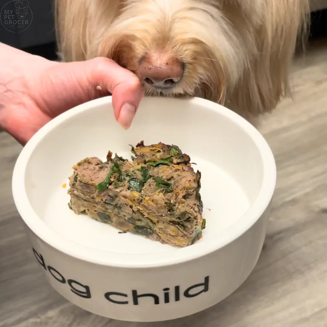 Hearty-Meat-Loaf-Recipe mypetgrocer.com