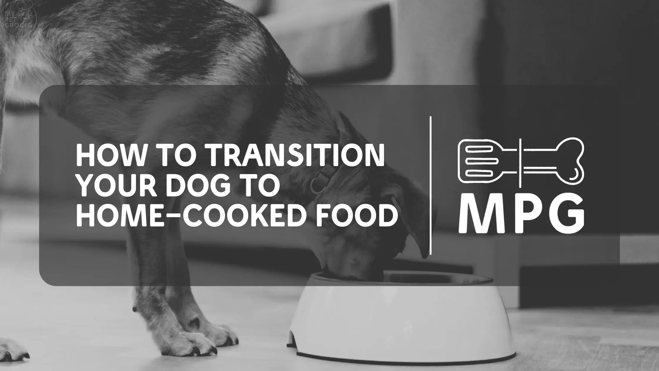 How-to-Transition-Your-Dog-to-Home-Cooked-Food mypetgrocer.com