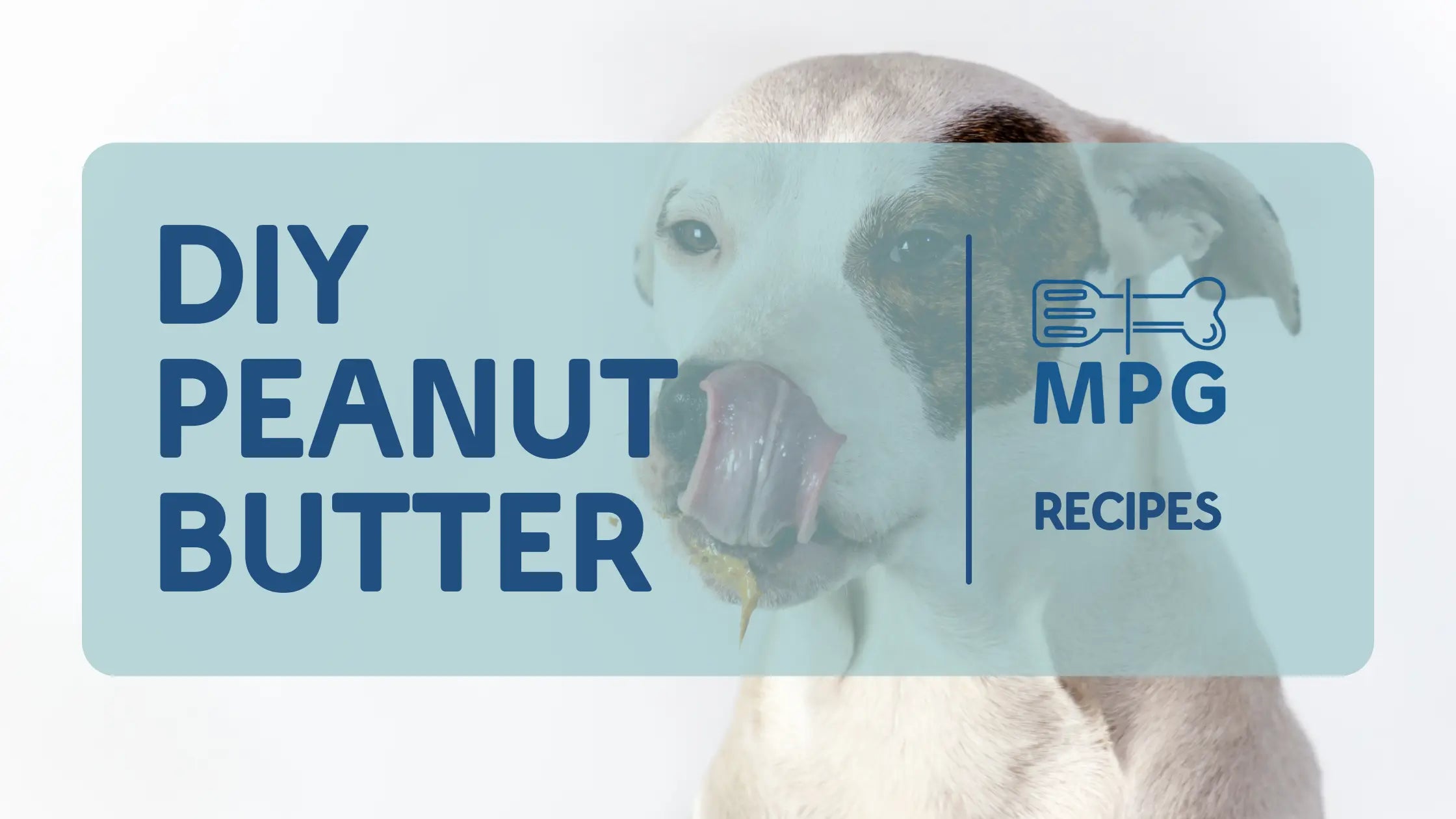 Make-Your-Own-Peanut-Butter mypetgrocer.com