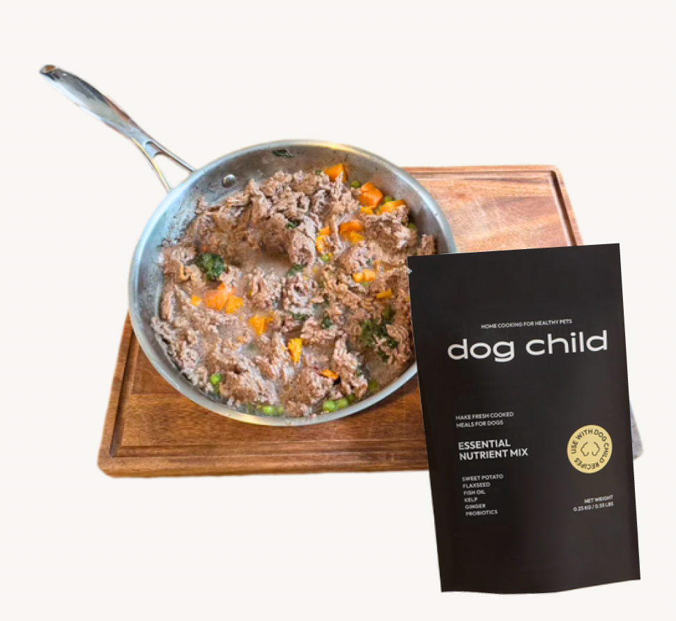 Sweet Potato Beef Skillet with Dog Child Nutrients