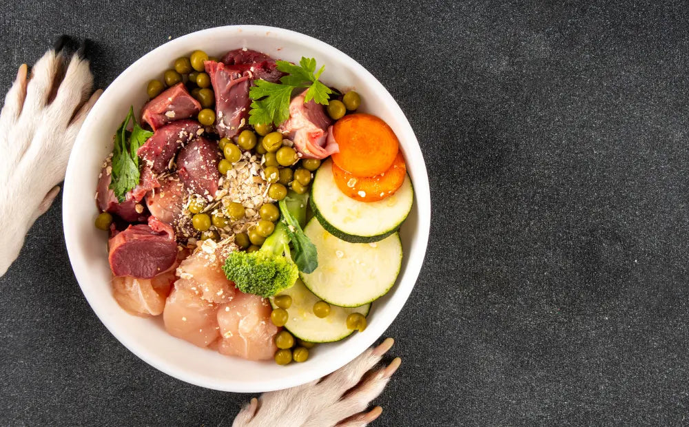 The-Raw-Truth-Risks-and-Rewards-of-Raw-Pet-Food-Diets mypetgrocer.com