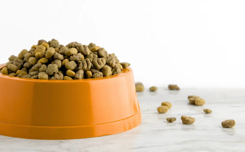 What-s-in-Your-Pet-s-Bowl-A-Clear-Look-at-Pet-Food-Ingredients mypetgrocer.com