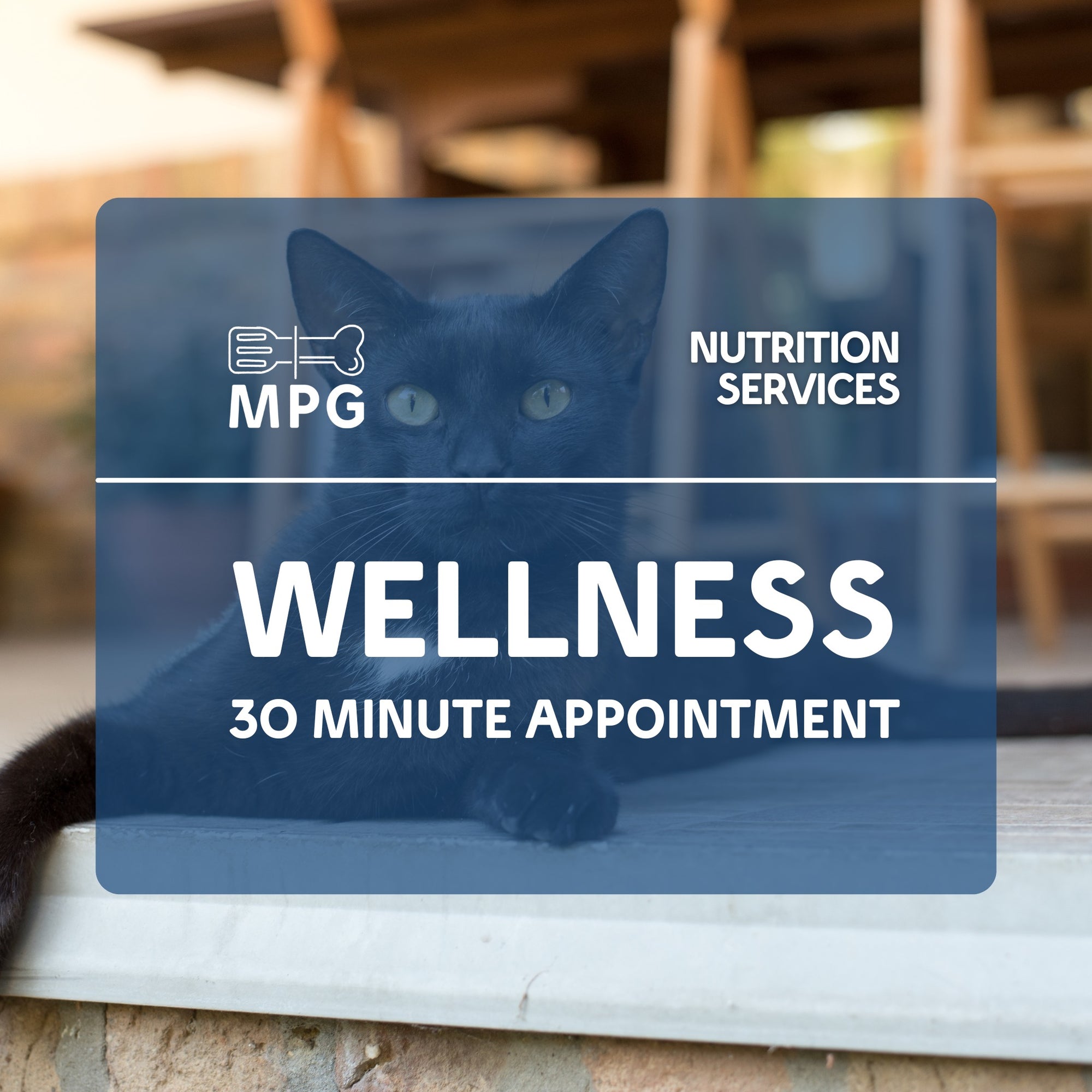 30-Minute In-Depth Pet Nutrition Discussion (1 Pet): Dive Deeper into Your Pet's Wellness