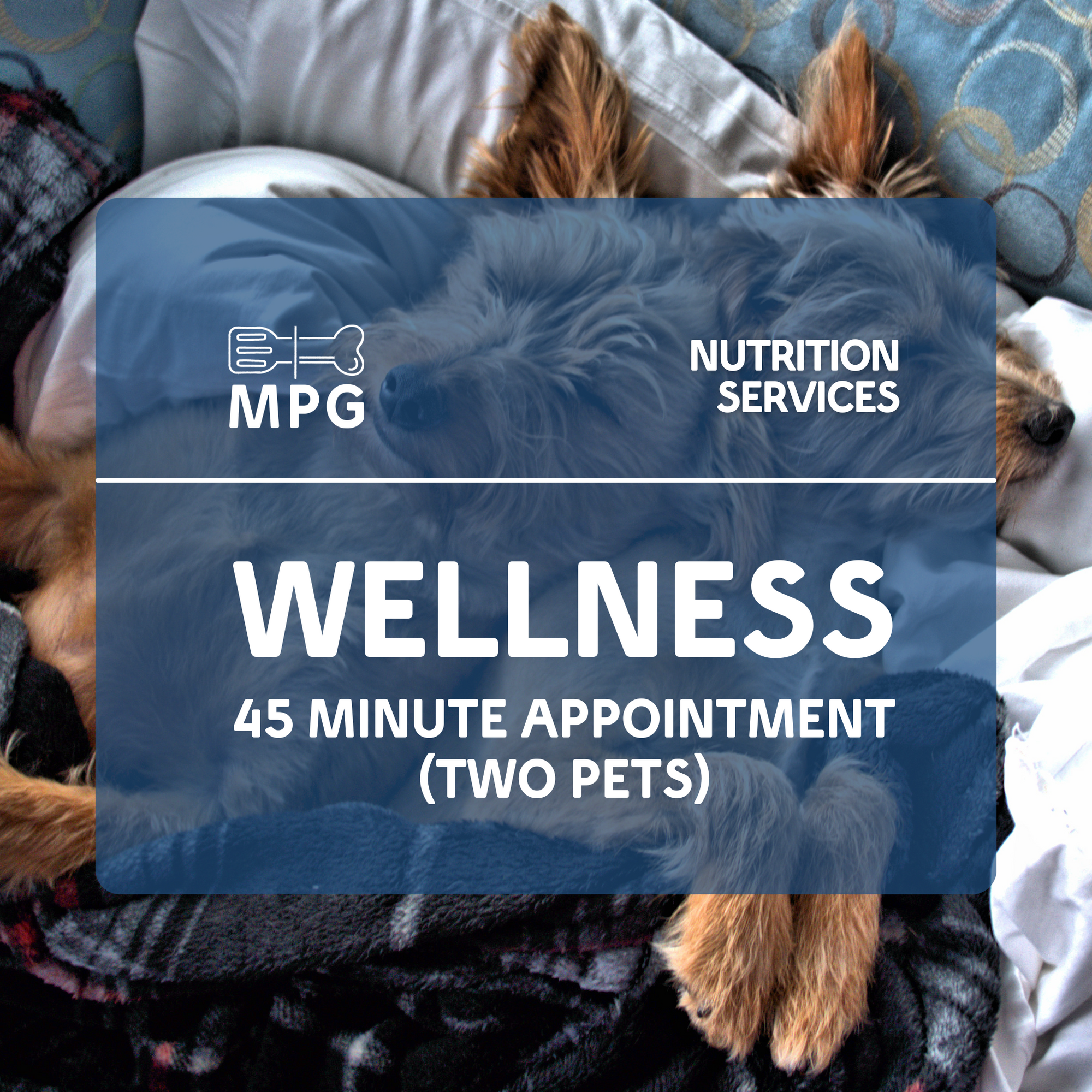 45-Minute In-Depth Pet Nutrition Discussion (2 Pets): Dive Deeper into Your Pets' Wellness