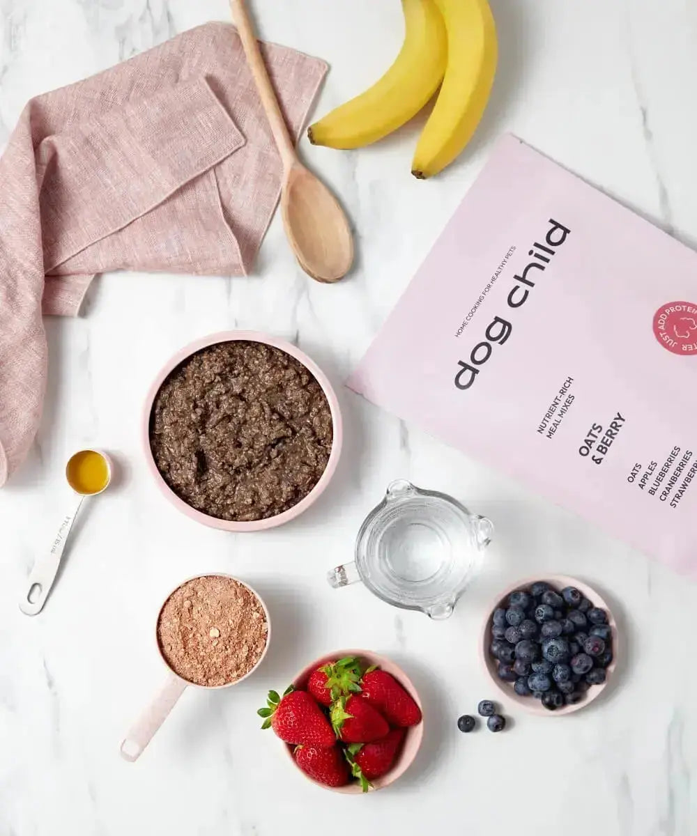 Oats & Berries Meal Mix For Dogs - mypetgrocer.com