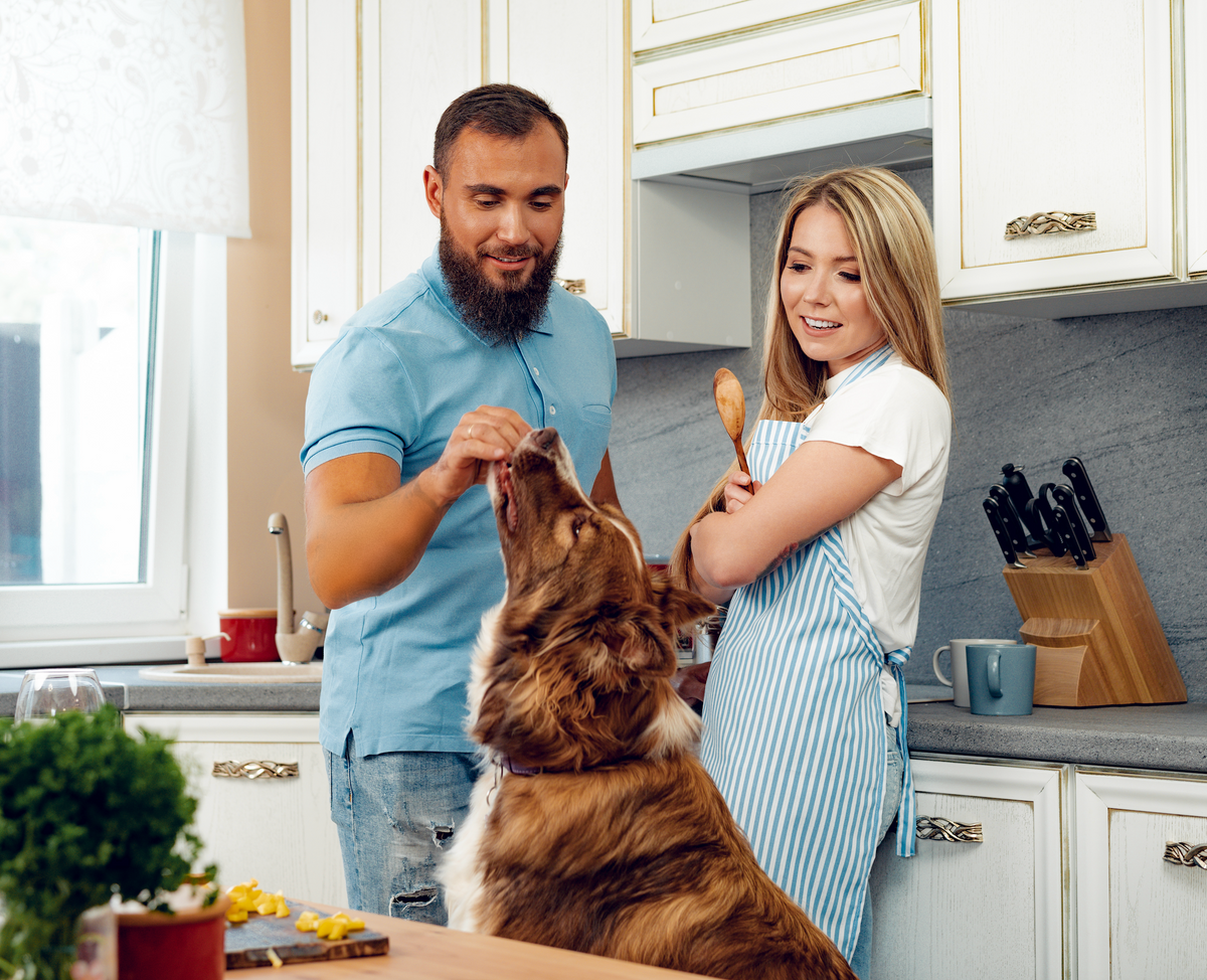 My Pet Grocer HomeCooking for Pets