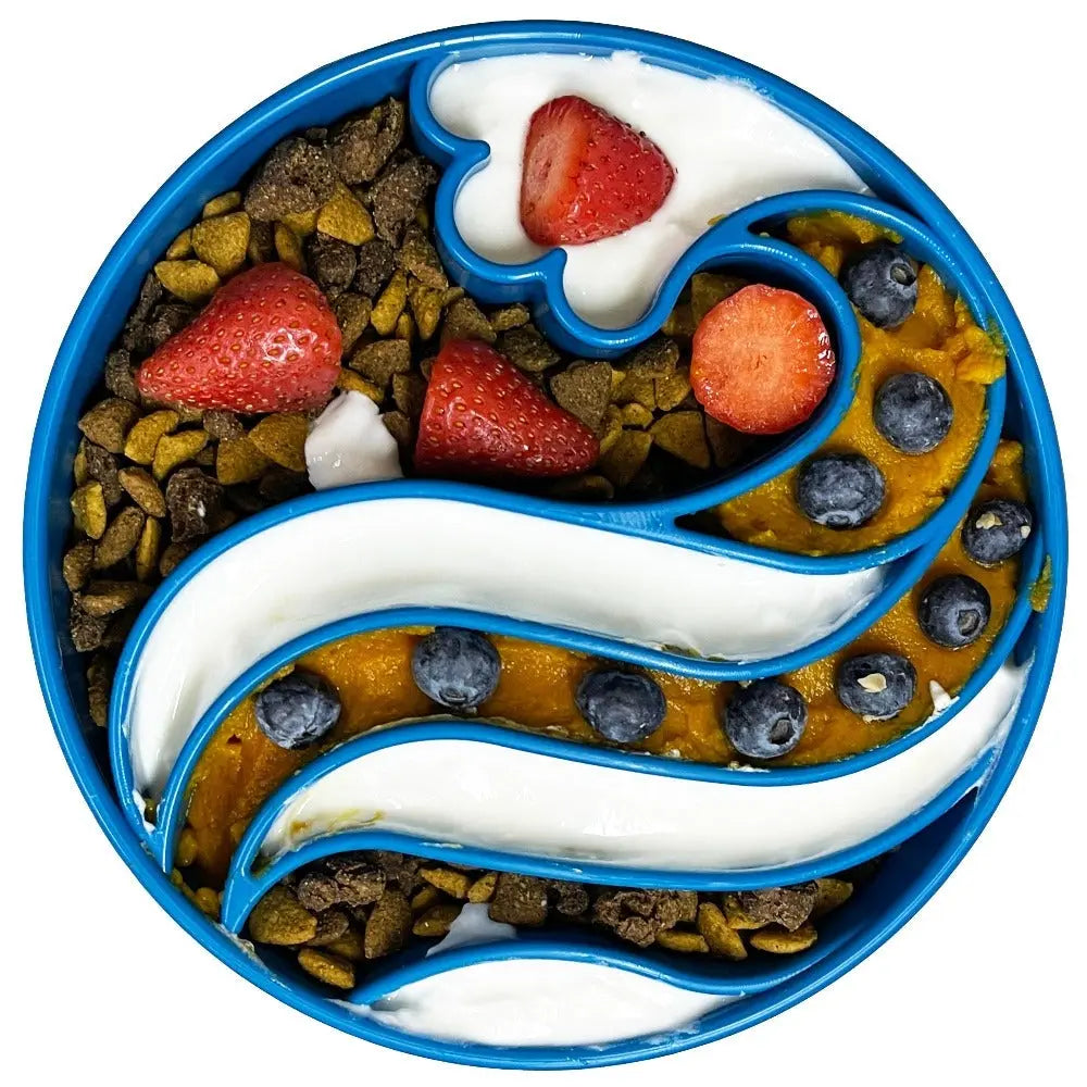 Wave Design eBowl Enrichment Slow Feeder Bowl for Dogs SodaPup/True Dogs, LLC