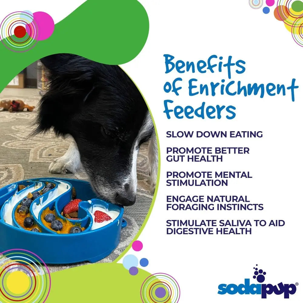 Wave Design eBowl Enrichment Slow Feeder Bowl for Dogs SodaPup/True Dogs, LLC