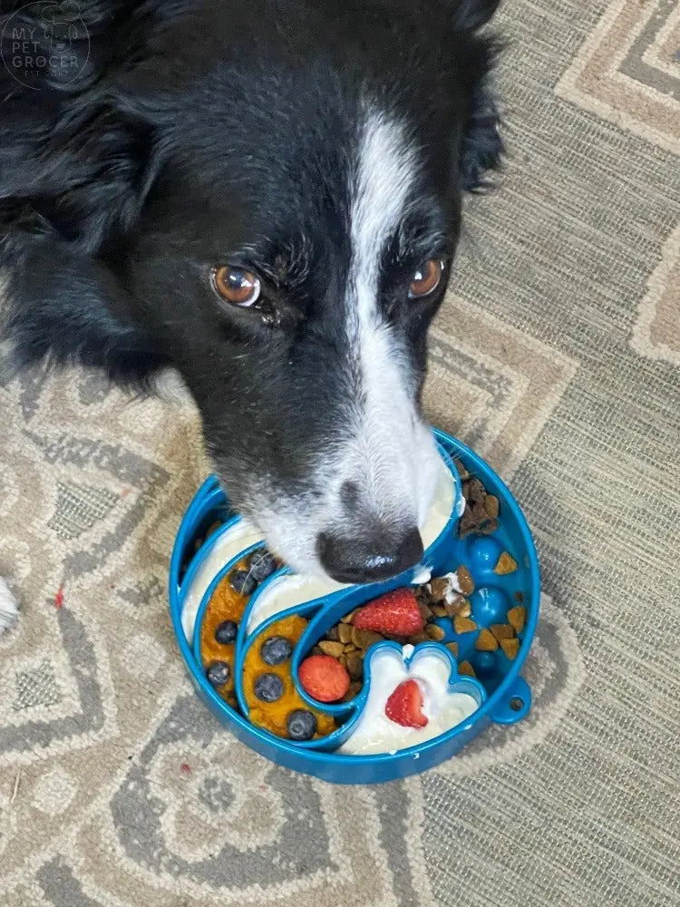 Wave Design eBowl Enrichment Slow Feeder Bowl for Dogs SodaPup/True Dogs, LLC