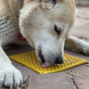 Honeycomb Design Emat Enrichment Lick Mat